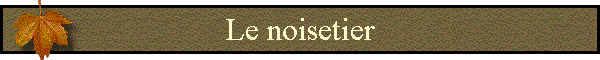 Le noisetier