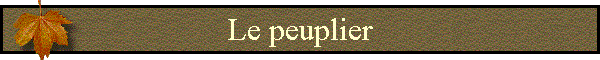 Le peuplier