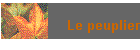 Le peuplier