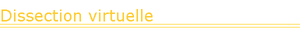 Dissection virtuelle