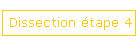 Dissection tape 4